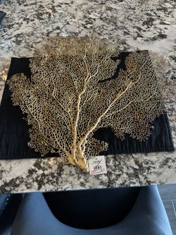 Golden Place Mates - 6 - Brand New - Z gallery