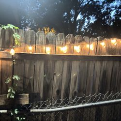 Lights Small Bulbs For Fence Or Pool