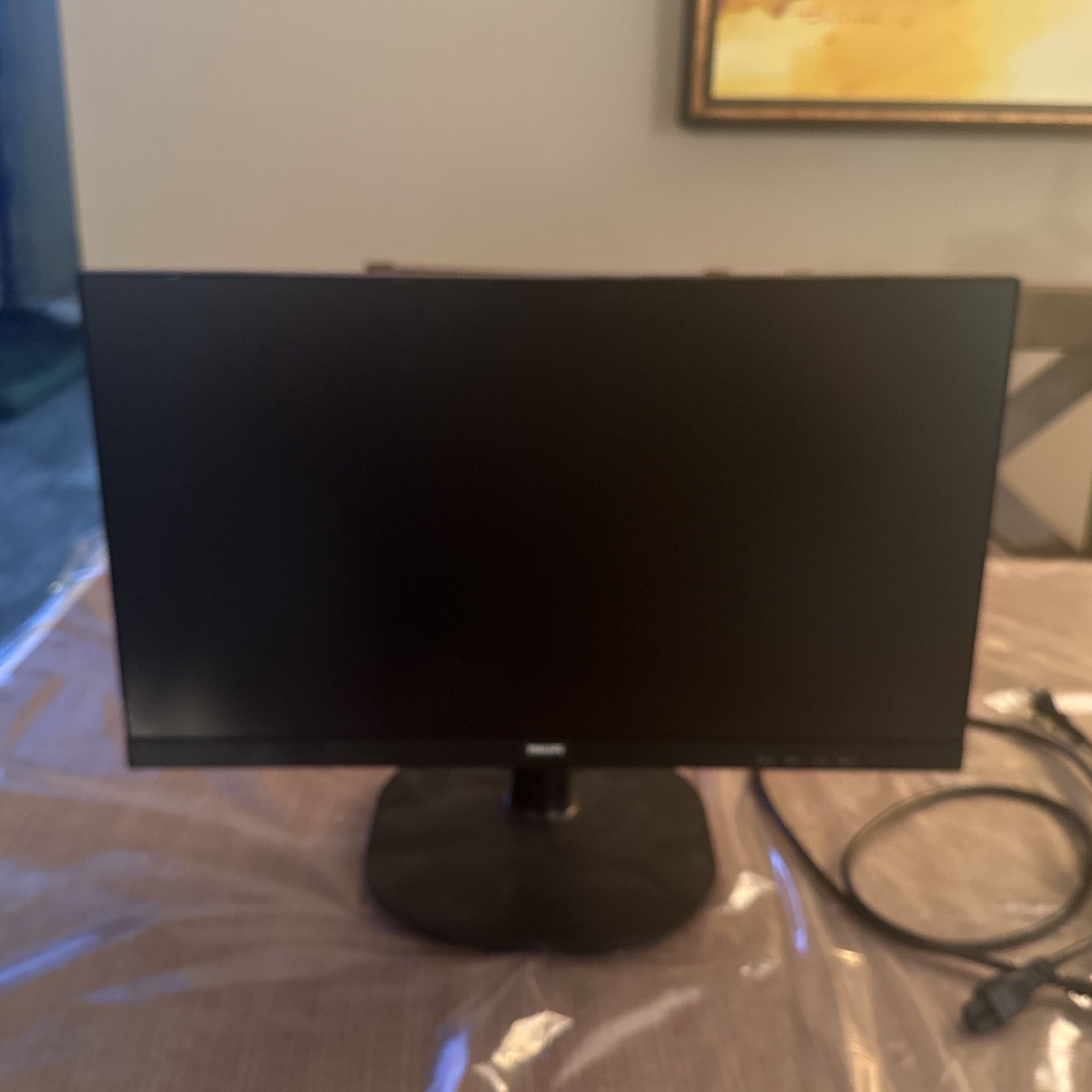 Philips 21 Monitor
