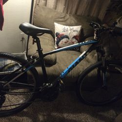 Women's Adult Bycicle 