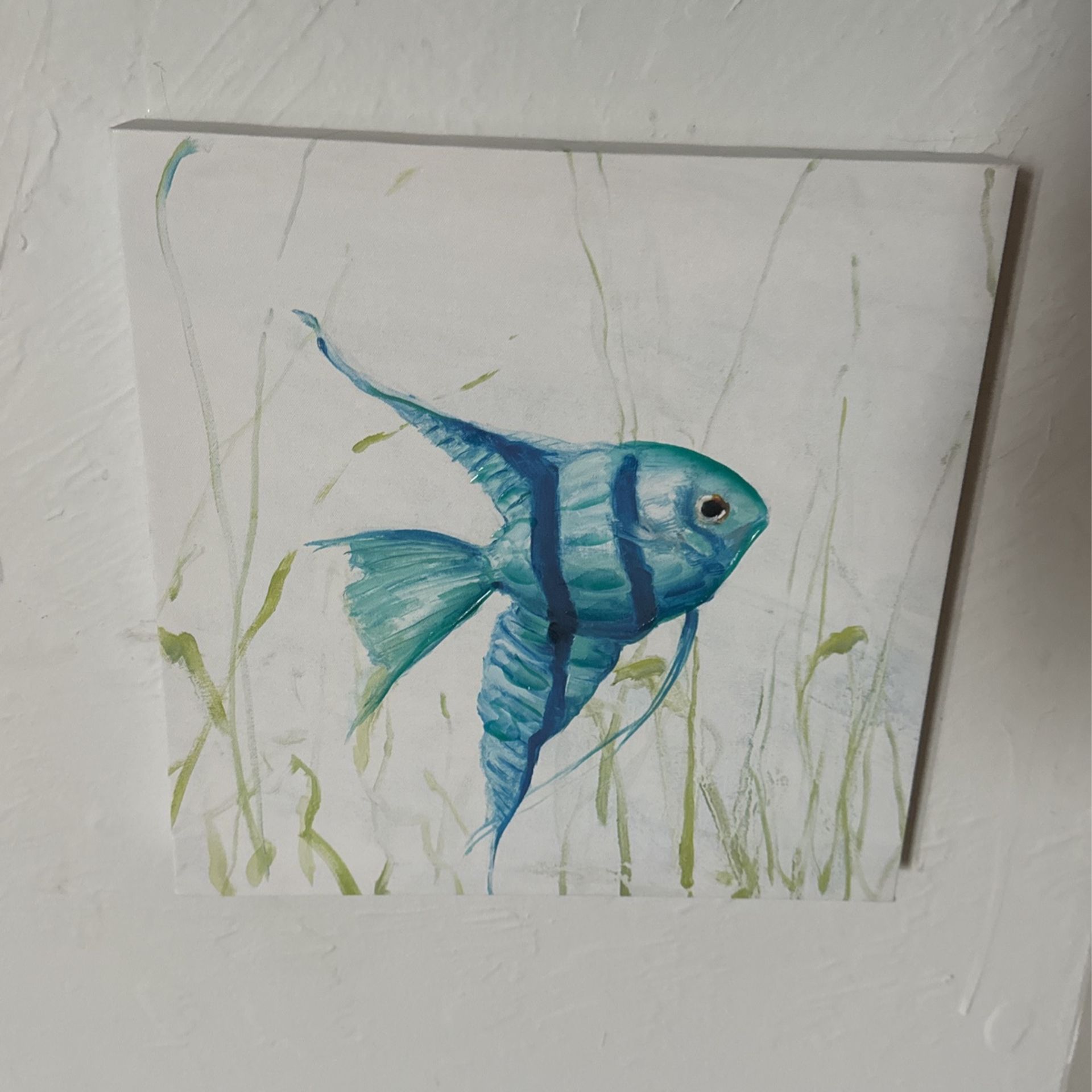 Fish Picture
