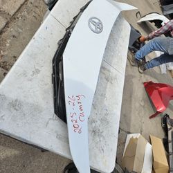 Toyota Camry Front Bumper Grille Oem