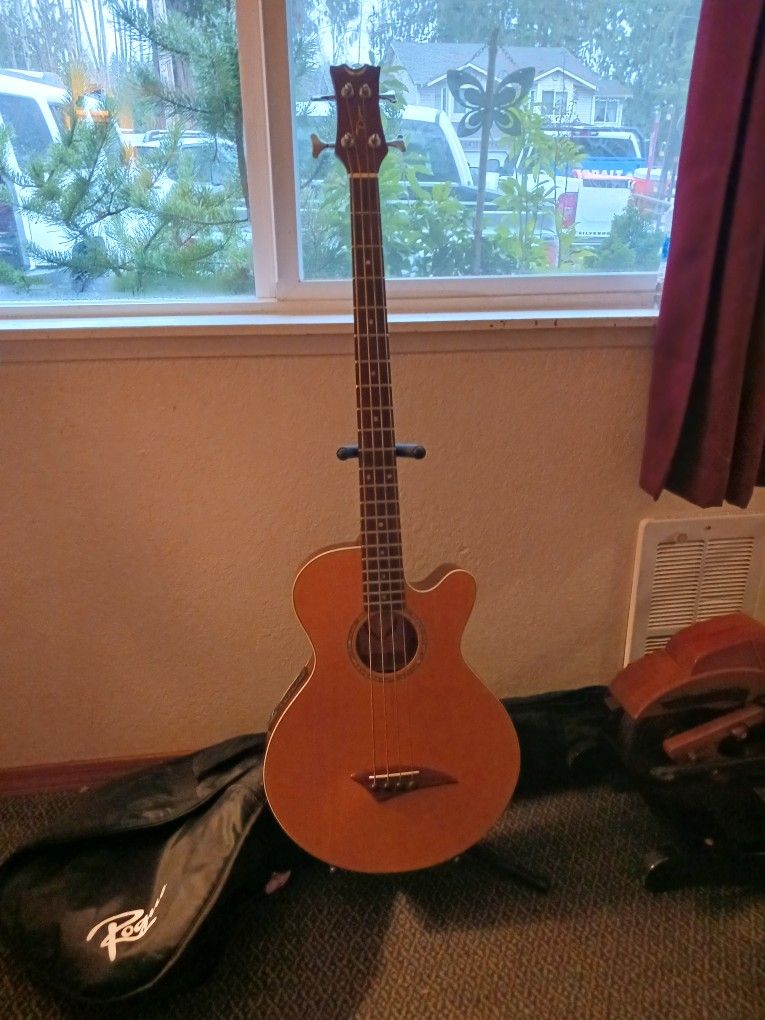 Bass Acoustic Guitar And Electric Comes With Stan And Case Like New