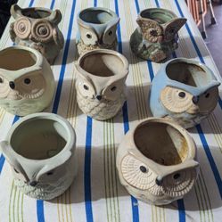Ceramic Owls Pot Set - 8 Count