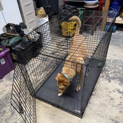 Large Dog Kennel