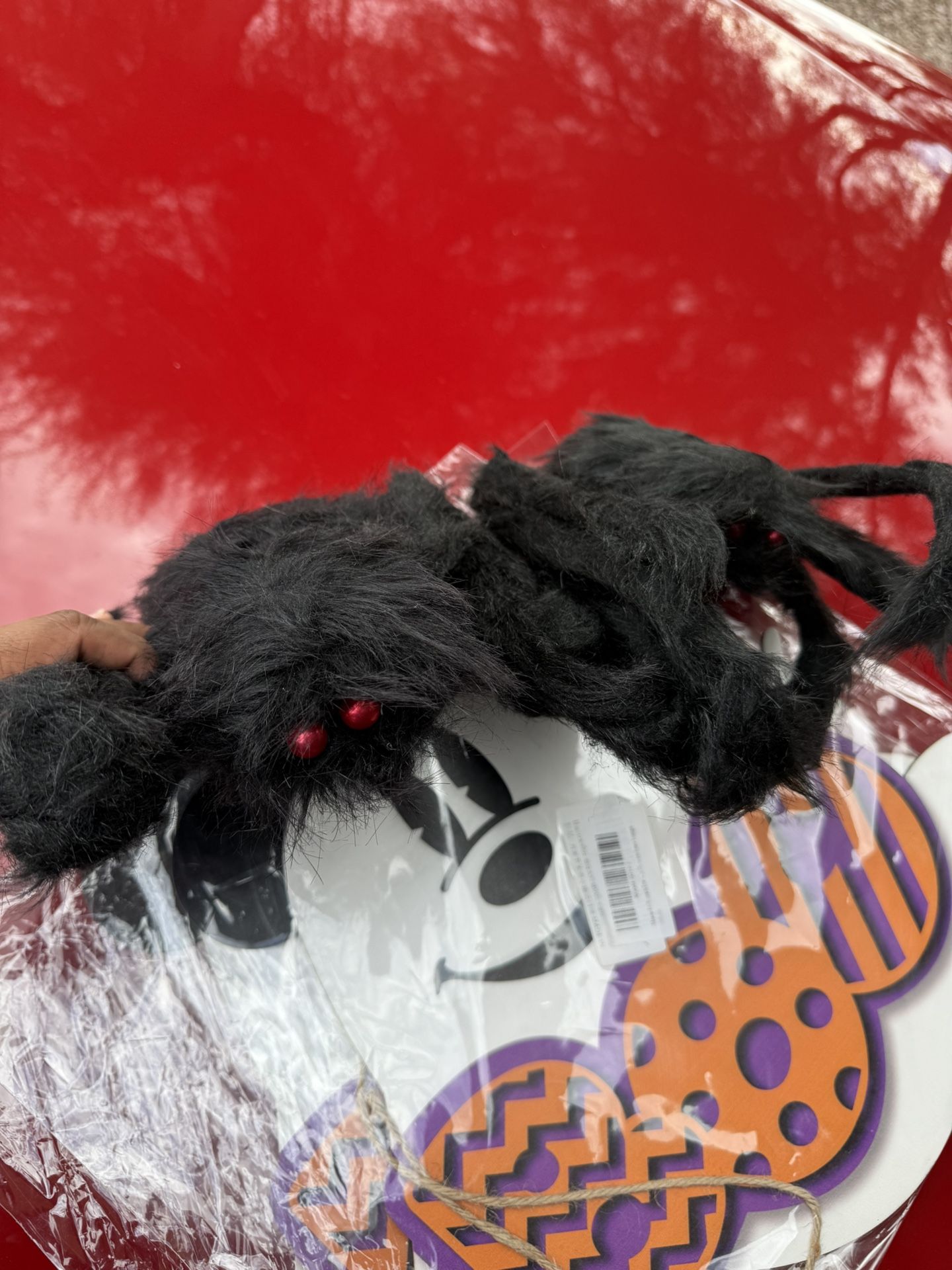 Halloween decorations