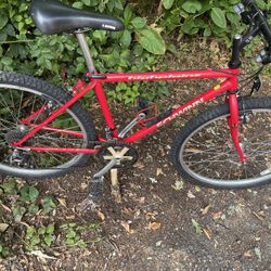 Schwinn High plains