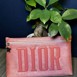 Dior Pouch 