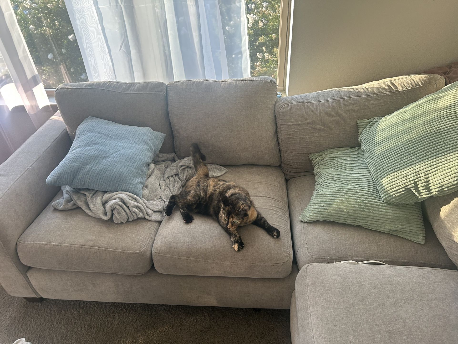 Living Room Furniture