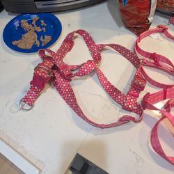 3 Dog Harnesses 