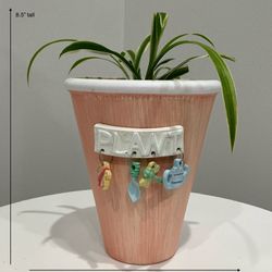 Live Variegated Spider Plant in a Shabby Coral Hermitage Cottage “Plant” Planter w Attached Charms