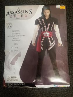 Assassin creed costume