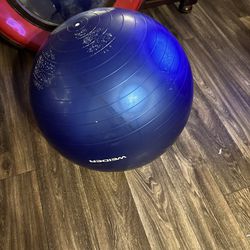 Standard Size Workout Ball 