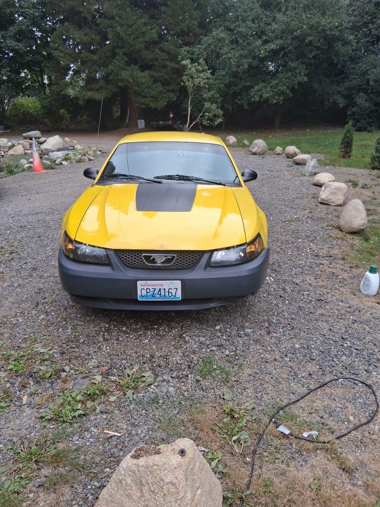 2004 Ford Mustang