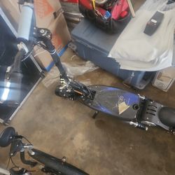 Super Turbo 800 Elite Scooter