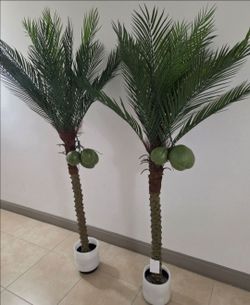 *** NEW LOW PRICE *** PAIR of 7ft Faux Coconut Palms ($50 / 2 for $90) @ Lasting Creations