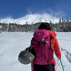 Arc’teryx 20L backpack 