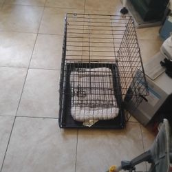 Dog Kennels