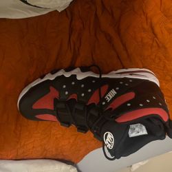 Charles Barkley air Max