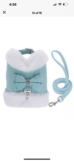 Harness And Leash