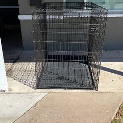 Steel Dog Crate, Kennel 45in.H x 36in.W x 54in.L