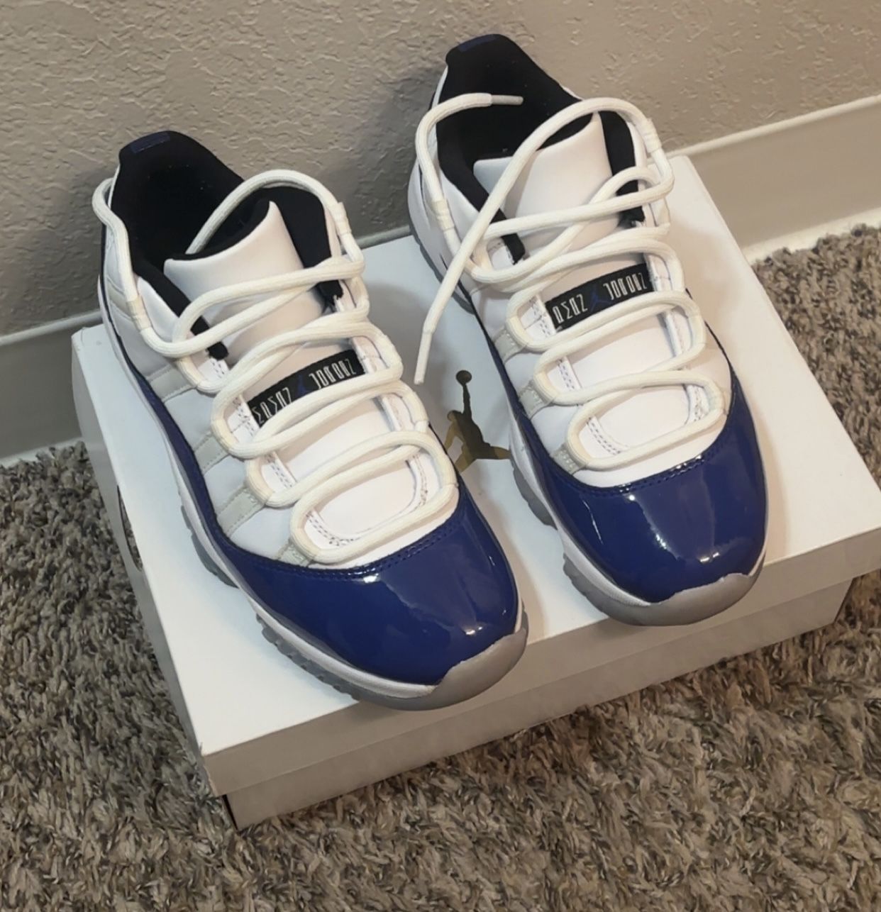 Jordan 11 Retro Women