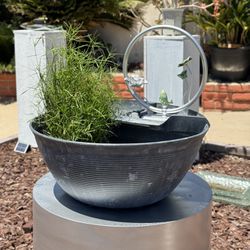 Outdoor Bowl Fountain With Decor And Plant