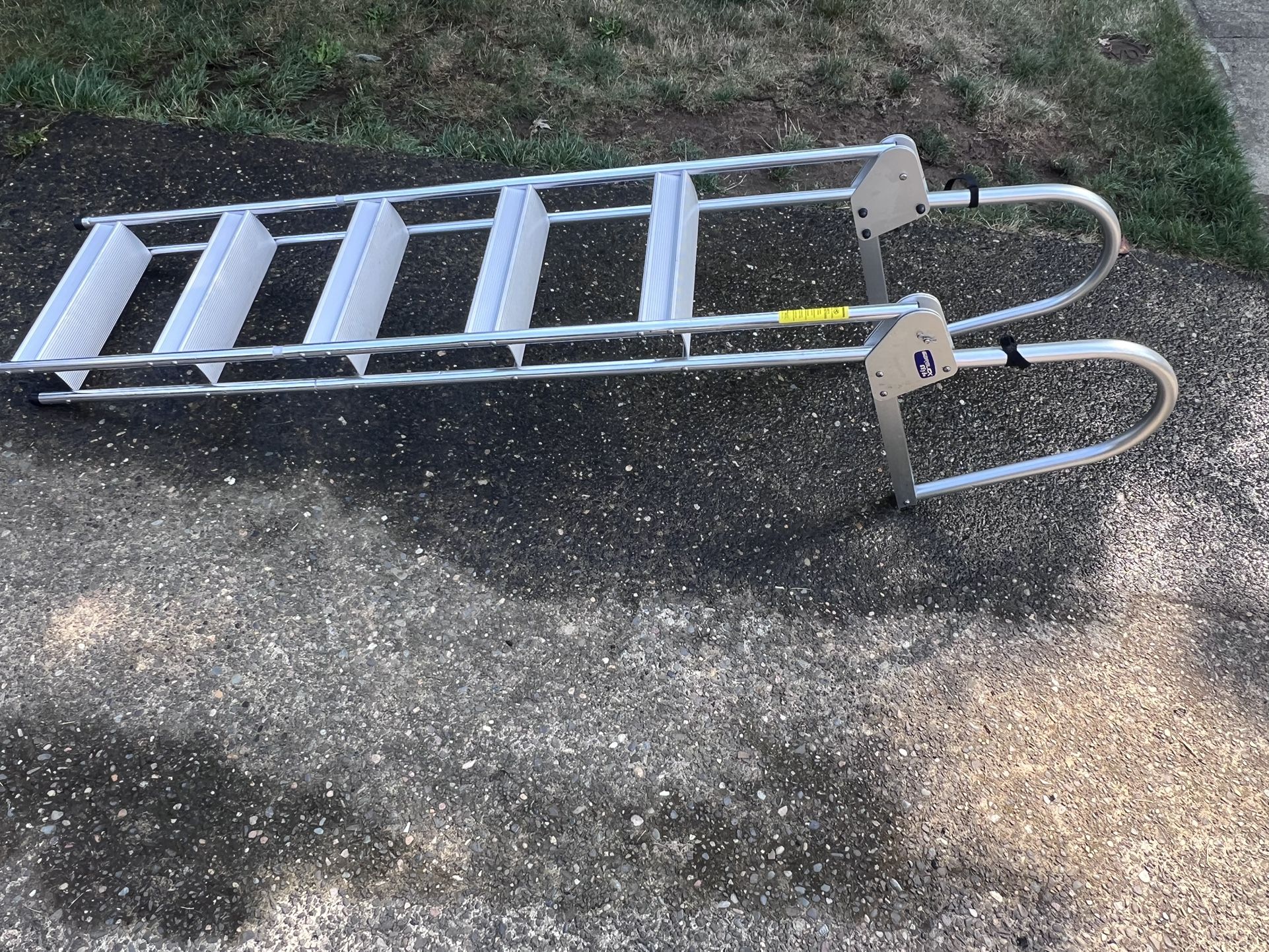 Boat/dock ladder