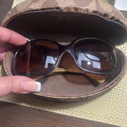 Coach Brown Glasses