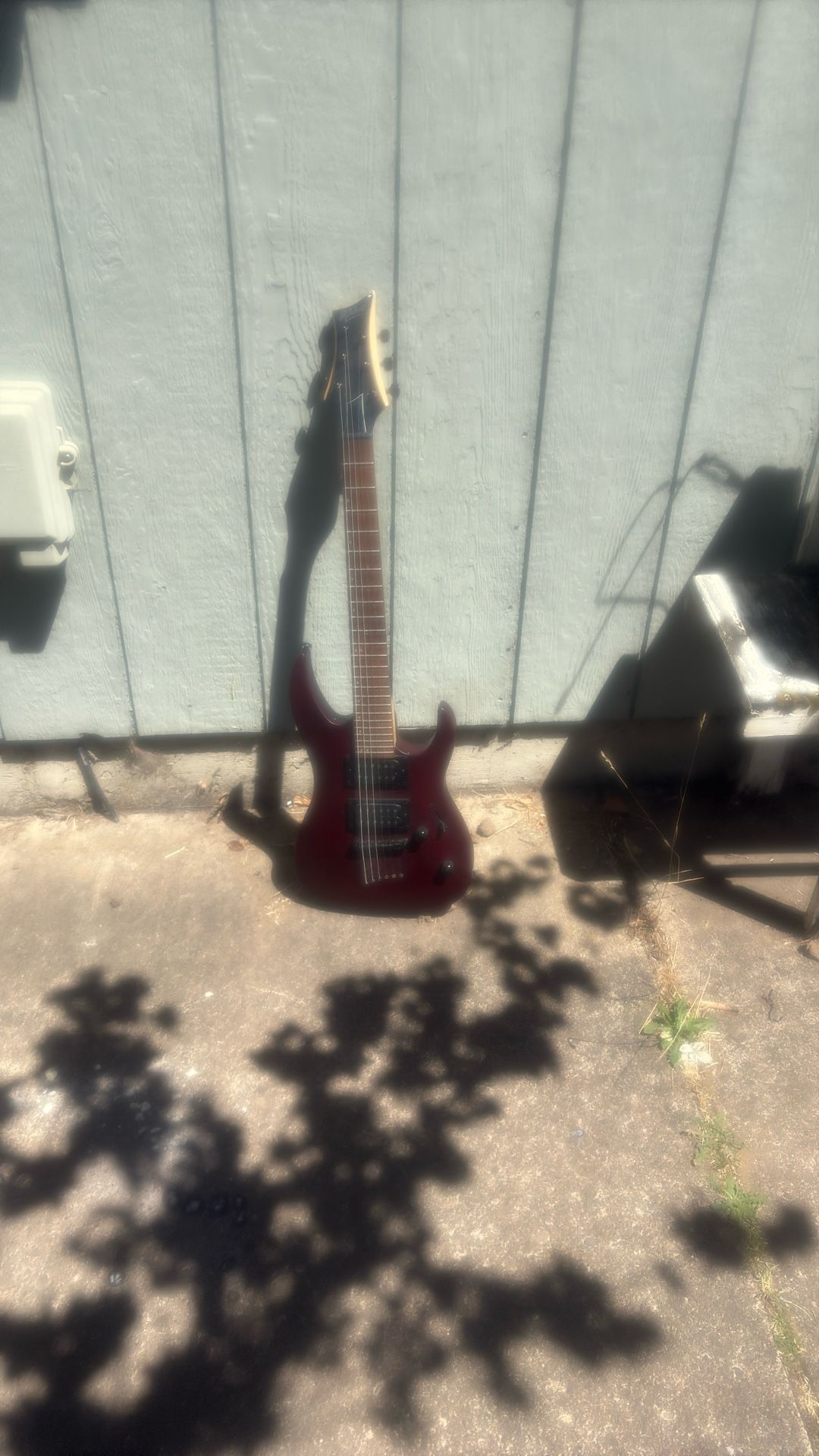 Guitar