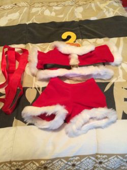 The bear Santa outfit