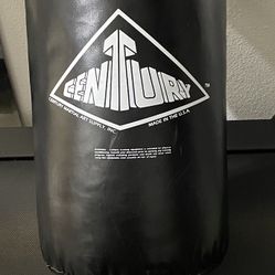 Punching Bag