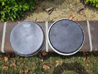 Remo Skyndeep Bongo Head