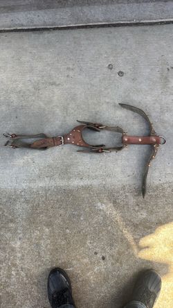 Dog - Leather Harness