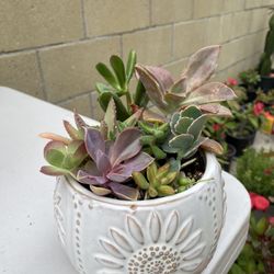 Mother’s Day Gifts