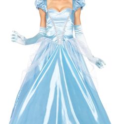 Adult Cinderella 