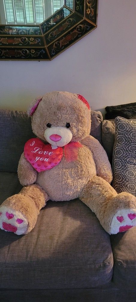 Giant Teddy