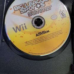 Big League Sports Summer