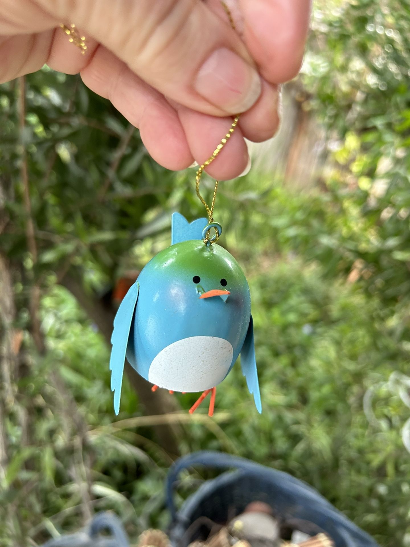 Blue Bird (of Happiness)