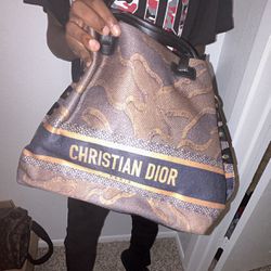 Swamp Christian Dior Bag