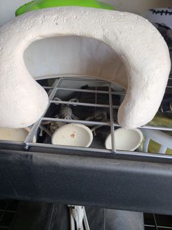 Lizard Or Snake Tank Accessories 