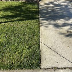 Lawn Mower 
