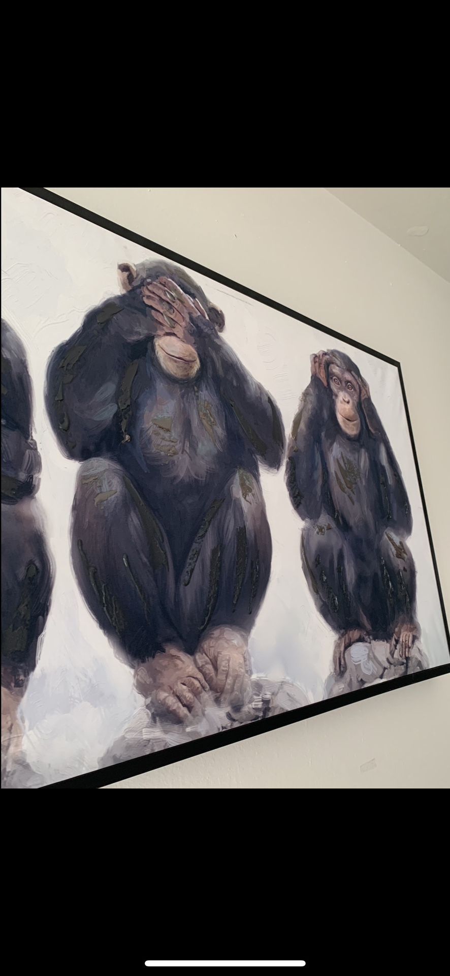 43x23 Appx Three Wise Monkeys See No Evil Hear No Evil Speaks no Evil Reflective Paint