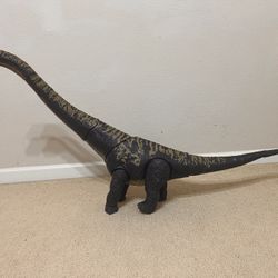 Hardly Used Dinosaur 🦕 