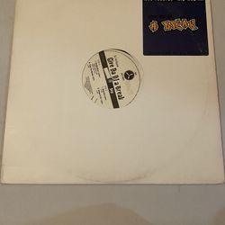 DJ Eclipse Fat beats vinyl record Rawkus Def Jux Eminem Big L The Roots Wu Tang Clan