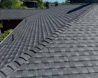 Shingle Roofing Roofer 