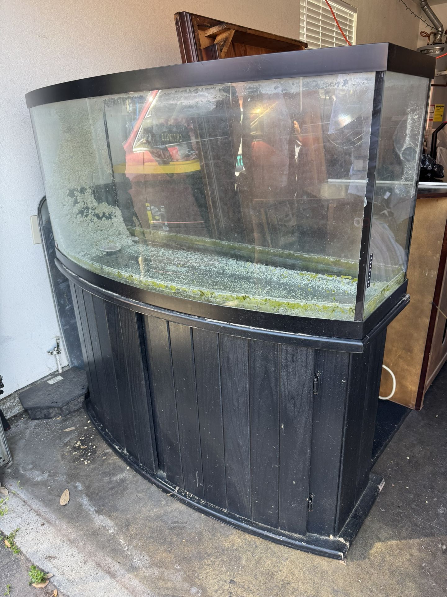 75 Gallon Bow Front Fish Tank