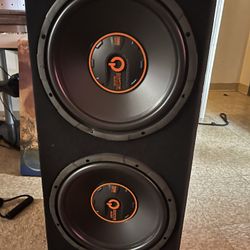 12s Subwoofer 