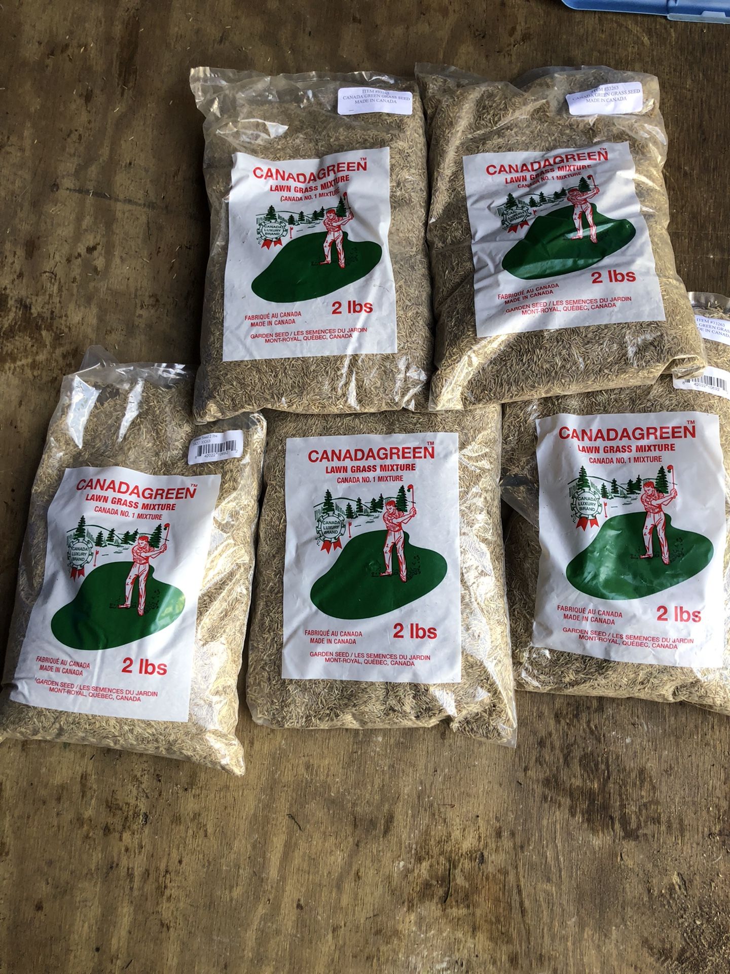 Grass Seed