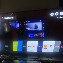 Lg Oled 65b7P-U With 65 Inch Screen Protector  ($120 Value Included)